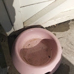 Photo n°1 de l'avis de Mirela.o fait le 28/10/2022 à 09:58 sur le  At the Kiosk S.A.S. Of Rambelli Guido & C. à Legnago