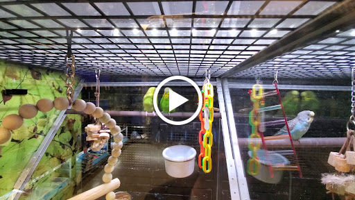 Pet Supply Store «PetSmart», reviews and photos, 15500 Panama City Beach Pkwy #340, Panama City Beach, FL 32413, USA