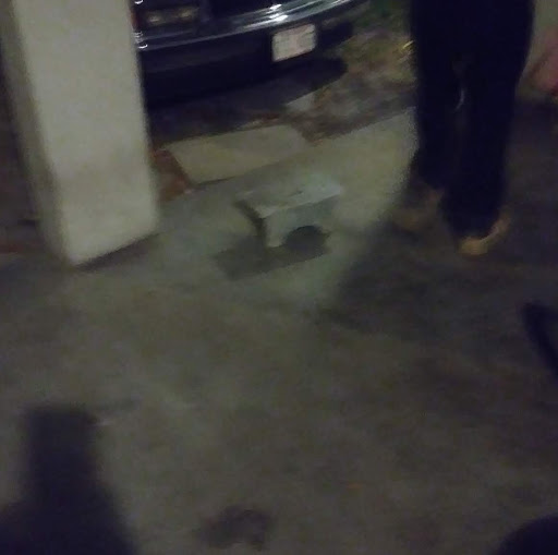 Hardware Store «Vision Ace Hardware», reviews and photos, 8538 Gunn Hwy #10, Odessa, FL 33556, USA