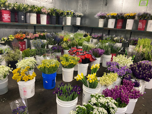 Fresh Flower Wholesale
