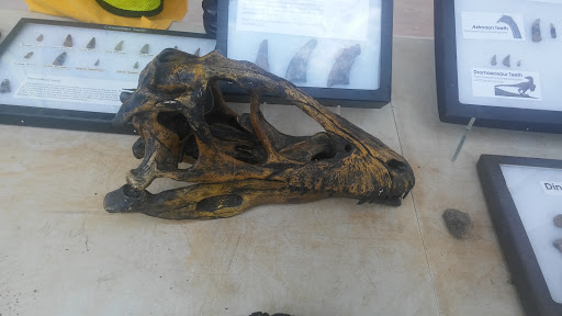 Park «Dinosaur Park», reviews and photos, 13100 Mid Atlantic Blvd, Laurel, MD 20708, USA