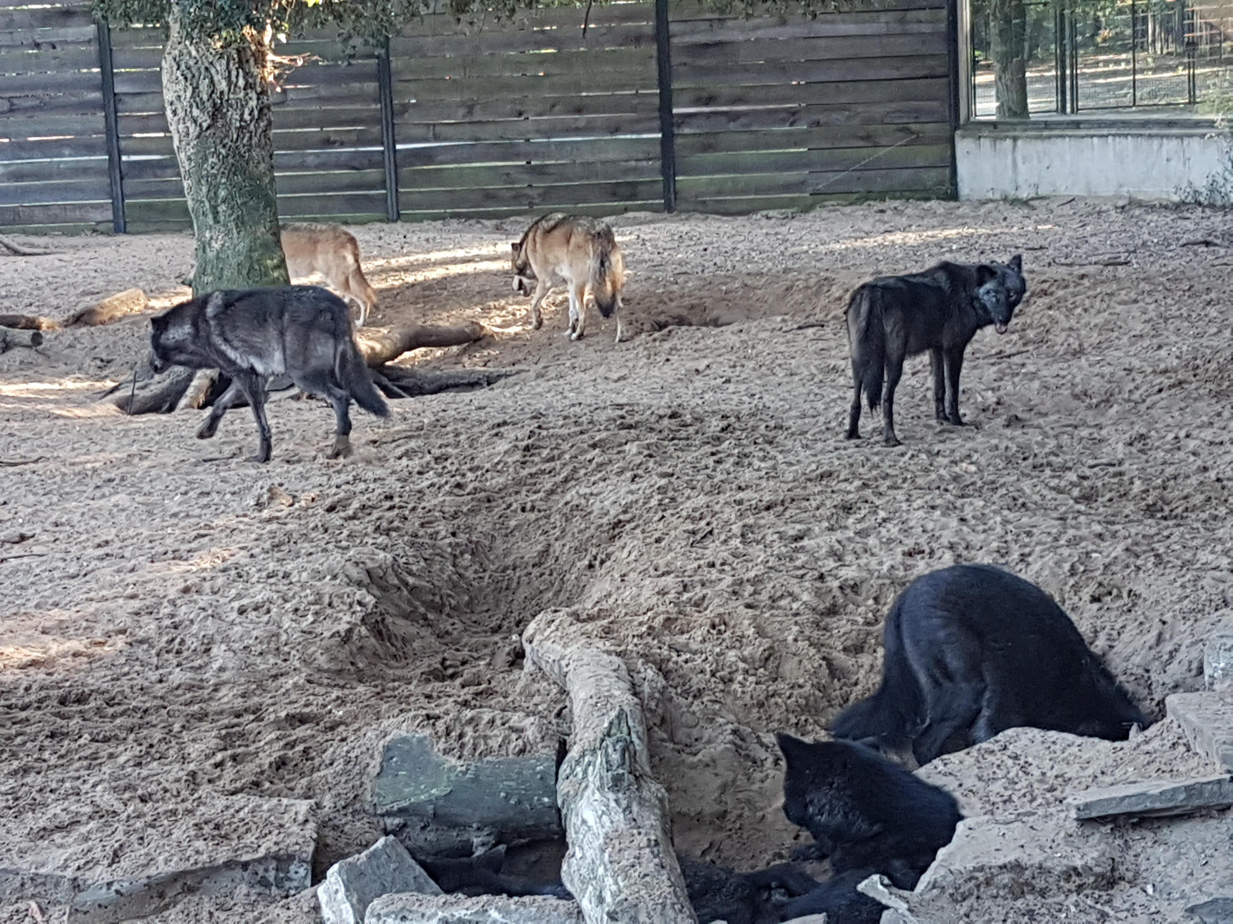 Photo n° 20 de l'avis de mathieu.i fait le 29/09/2019 à 18:29