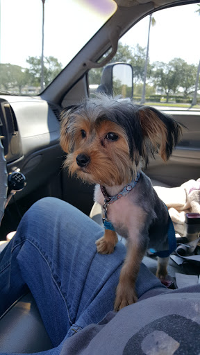 Pet Supply Store «PetSmart», reviews and photos, 1800 Evans Rd, Melbourne, FL 32904, USA