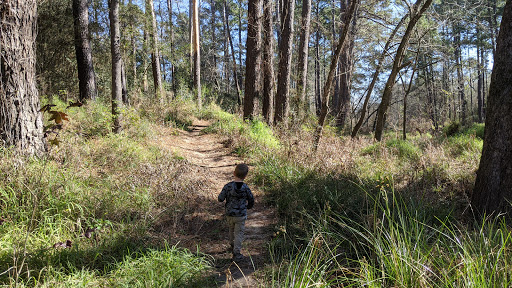 Park «Telge Park», reviews and photos, 12400 Pleasant Grove Rd, Cypress, TX 77429, USA