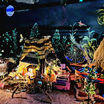 Photo n° 10 de l'avis de corinne.e fait le 17/09/2022 à 18:30 pour Feeriland à Veyrac