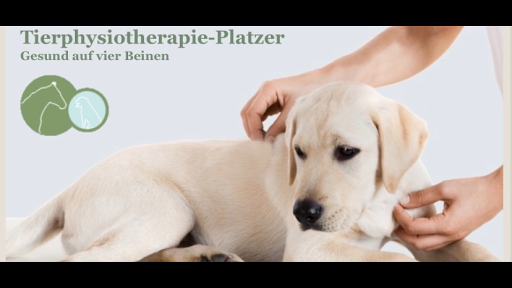 Tierphysiotherapie-Platzer unter Rheurdt, Nordrhein-Westfalen