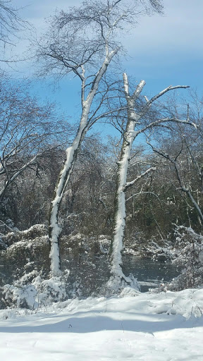 Park «Malaga Lake Park», reviews and photos, 445 Malaga Park Dr, Malaga, NJ 08328, USA