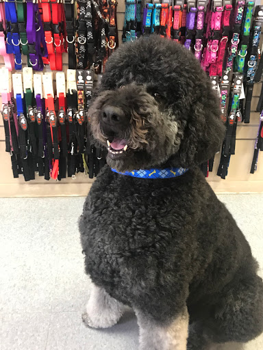 Pet Supply Store «Your Pet Stop», reviews and photos, 501 E 41st St, Sioux Falls, SD 57105, USA