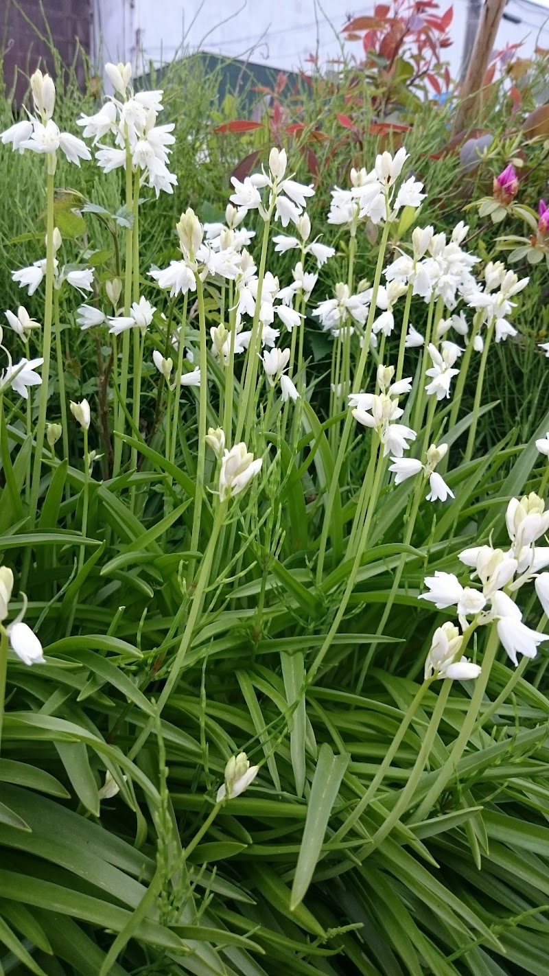 オンチッチ カラオケスタジオ 茨城県龍ケ崎市愛戸町 カラオケ グルコミ