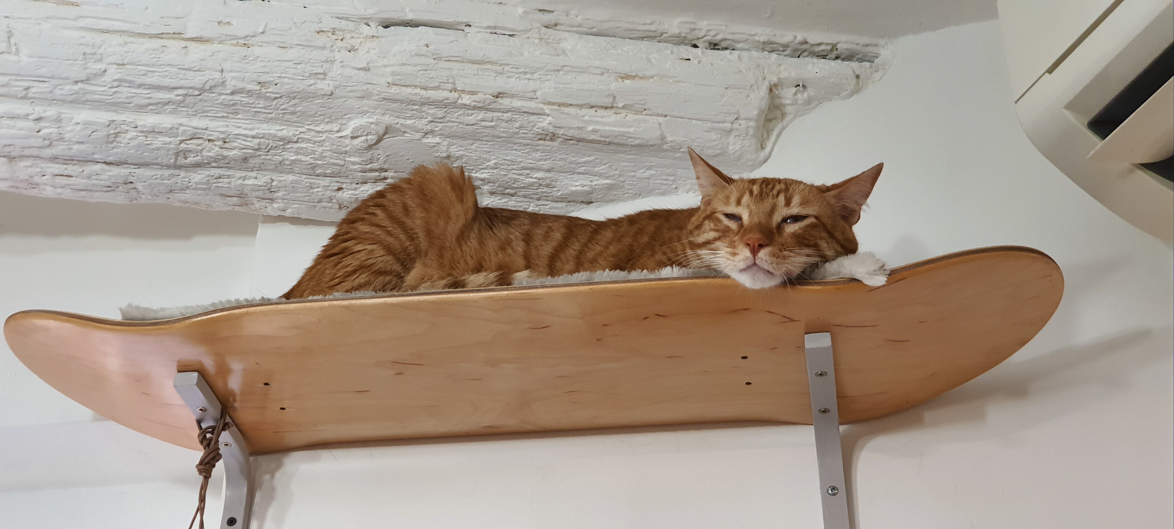 Photo n° 1 de l'avis de Hélène.O fait le 20/08/2020 à 14:07