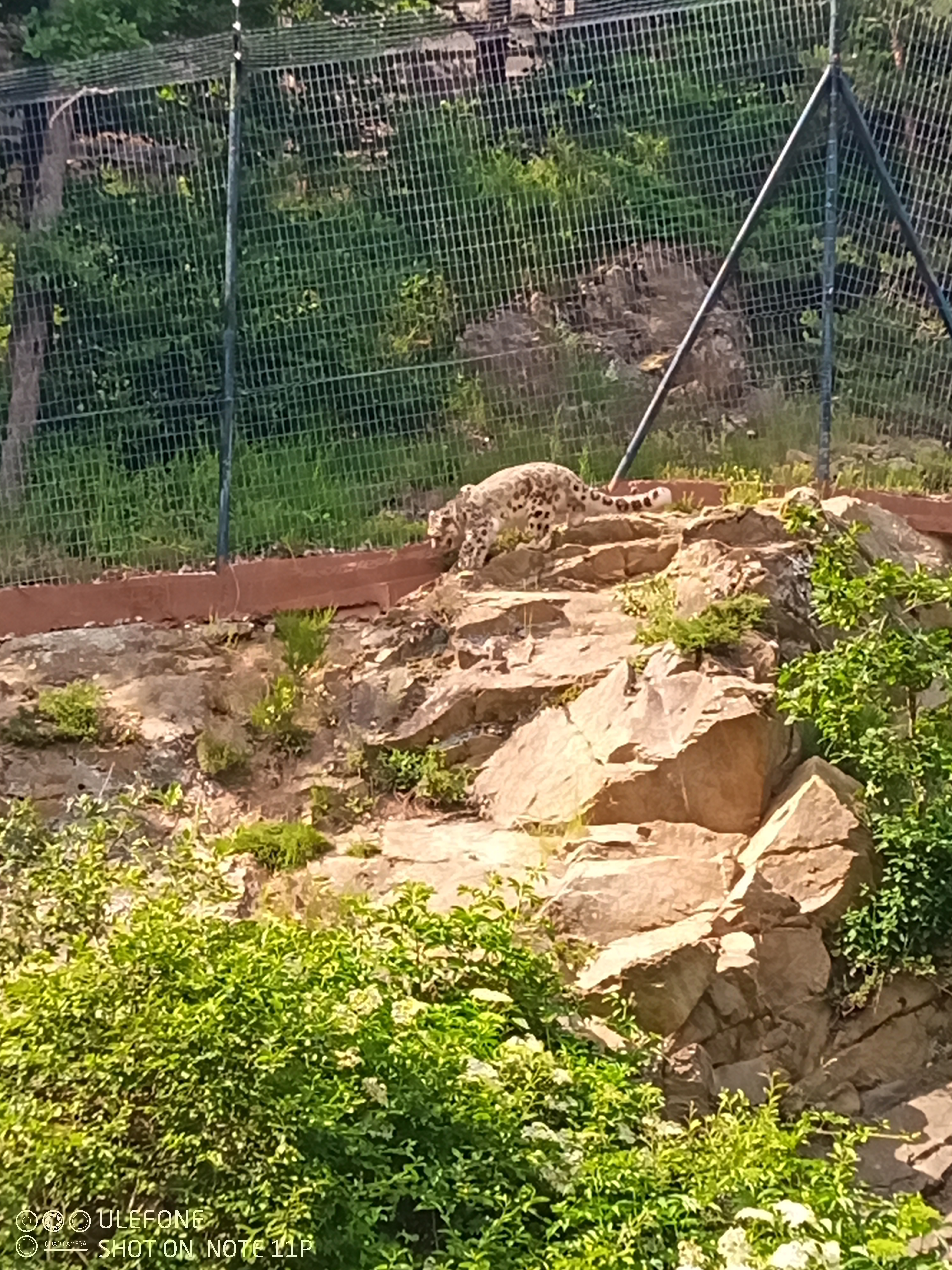 Photo n° 10 de l'avis de bastien.e fait le 20/06/2023 à 20:39