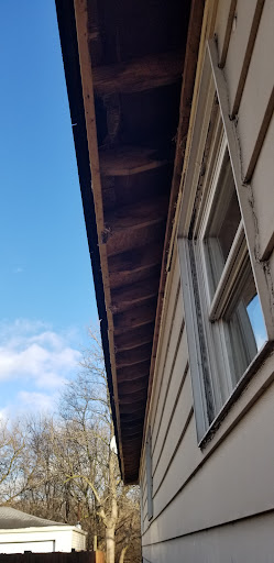 Roofing Contractor «Richmond Exteriors», reviews and photos