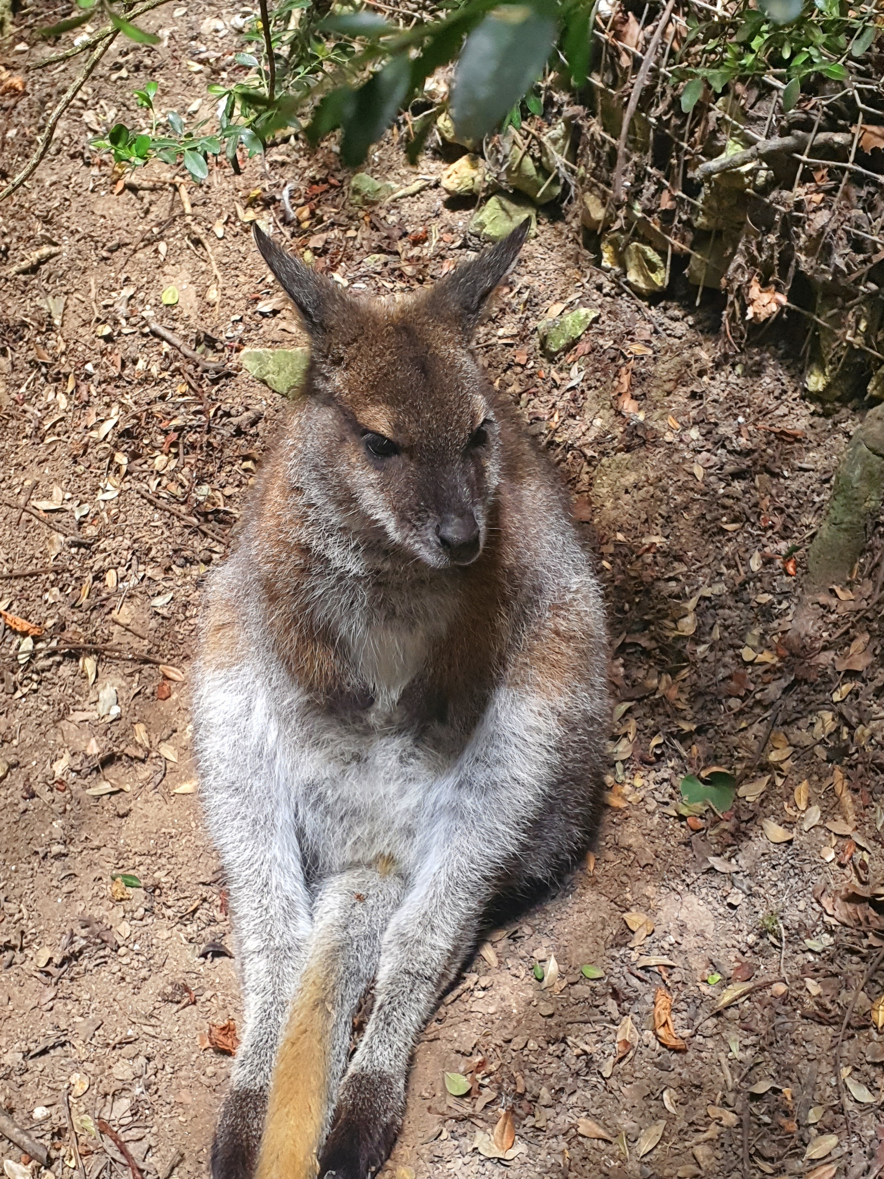 Photo n° 11 de l'avis de Mylene.o fait le 17/07/2023 à 15:57