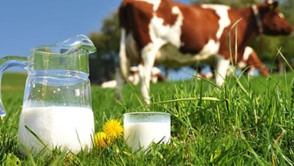 İlyas AYDIN süt ürünleri