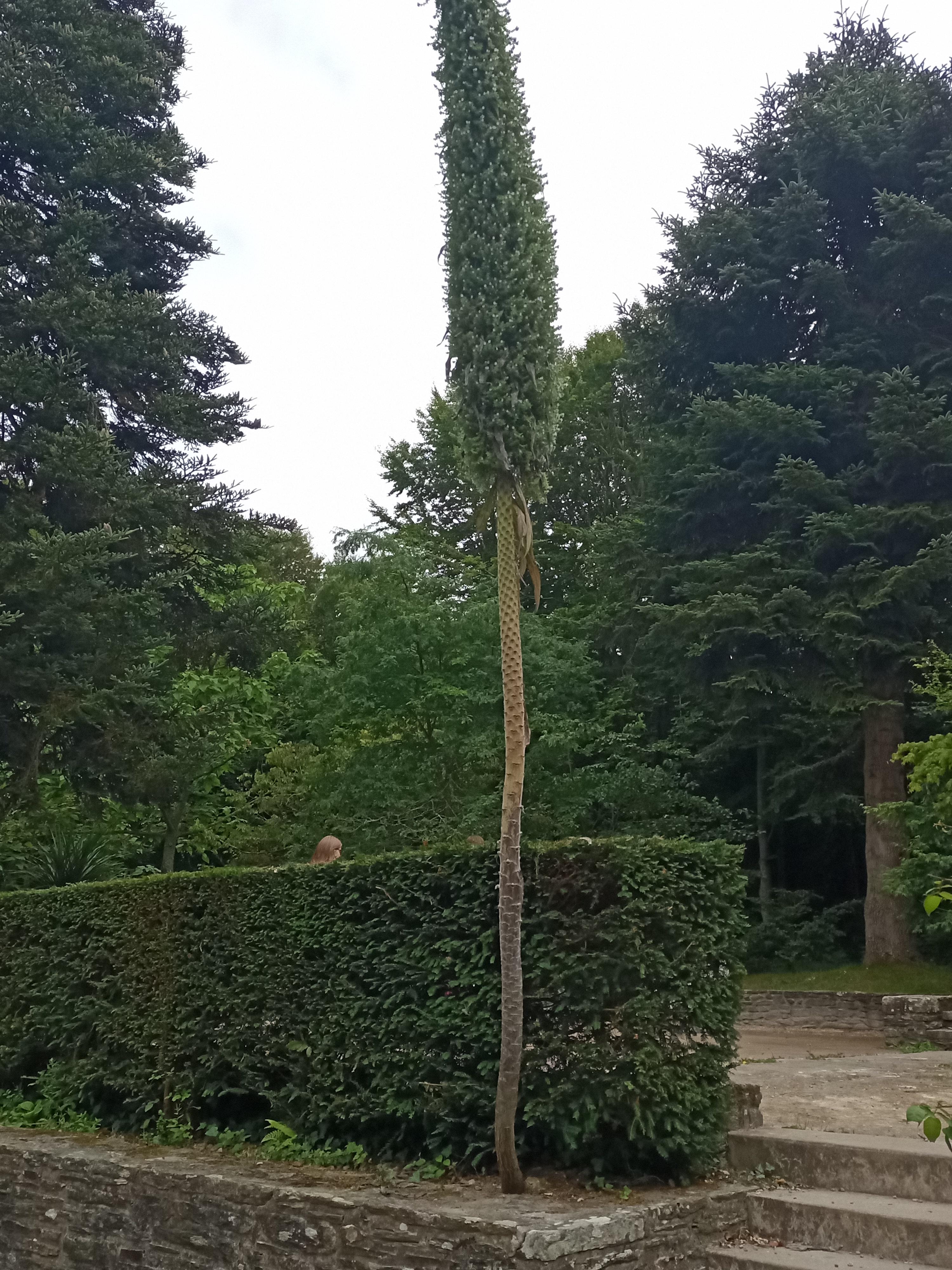 Photo n° 14 de l'avis de Tycha.a fait le 26/08/2021 à 15:44