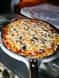 Plats et boissons du Pizzeria Pizza du terroir à Saint-Barthélémy-de-Vals - n°4