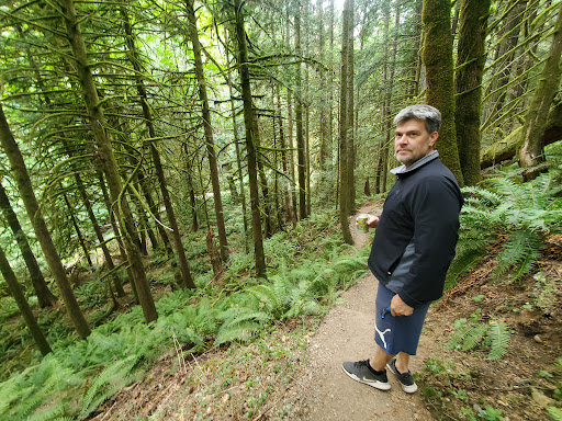 Performing Arts Theater «Kitsap Forest Theater», reviews and photos, 3000 Seabeck Hwy NW, Bremerton, WA 98312, USA