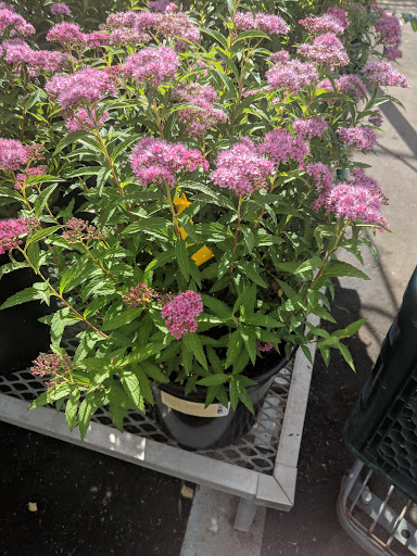 Hardware Store «Orchard Supply Hardware», reviews and photos, 2245 Gellert Blvd, South San Francisco, CA 94080, USA