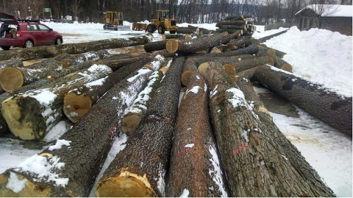 Tri-County Logging