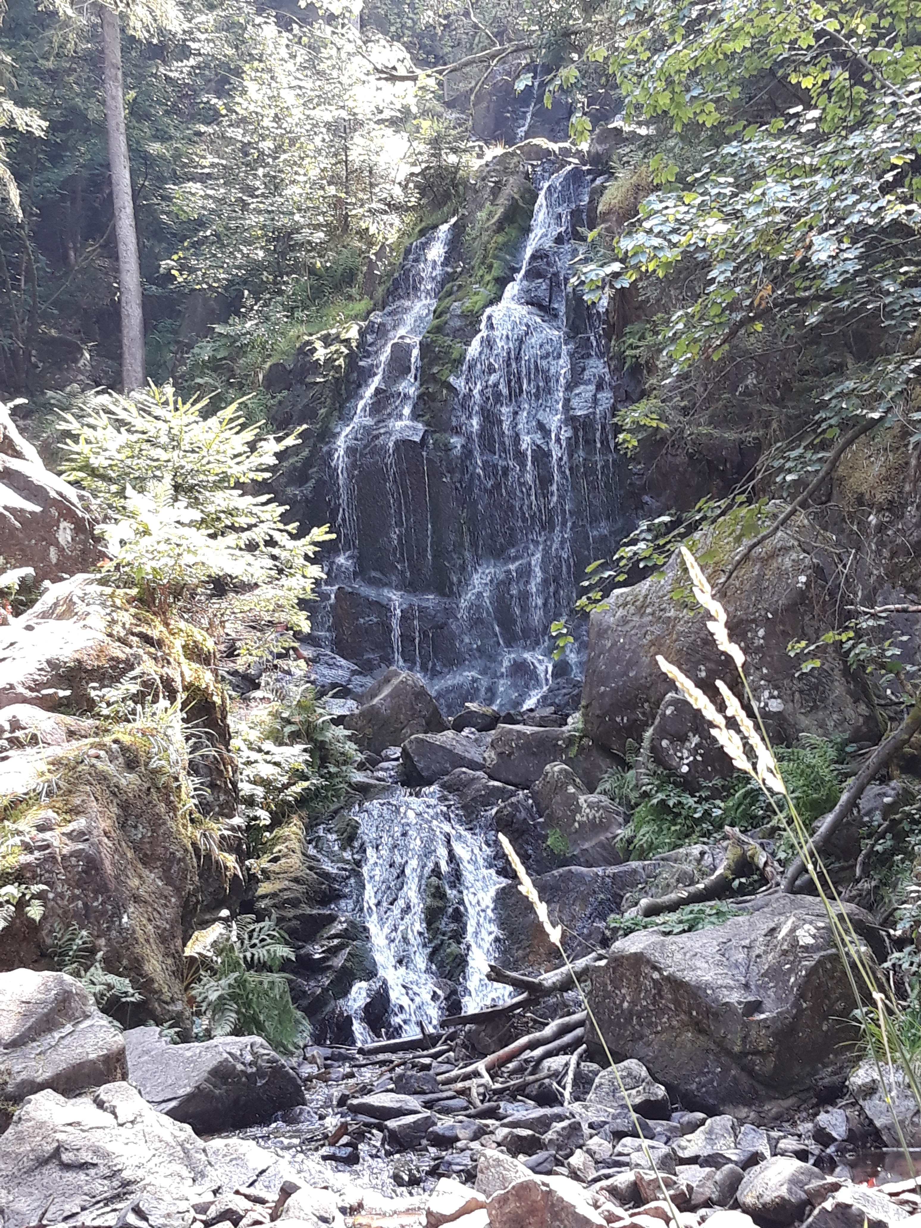 Photo n° 3 de l'avis de Housni.b fait le 28/07/2018 à 13:17