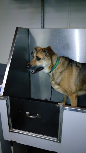 Pet Supply Store «IncrediPet», reviews and photos, 306 Southland Dr, Lexington, KY 40503, USA