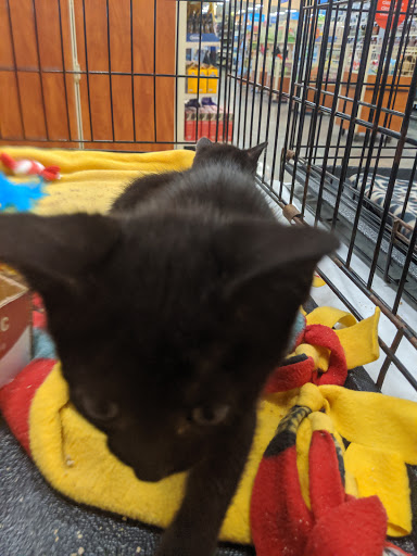 Pet Supply Store «PetSmart», reviews and photos, 6370 North Point Pkwy, Alpharetta, GA 30022, USA