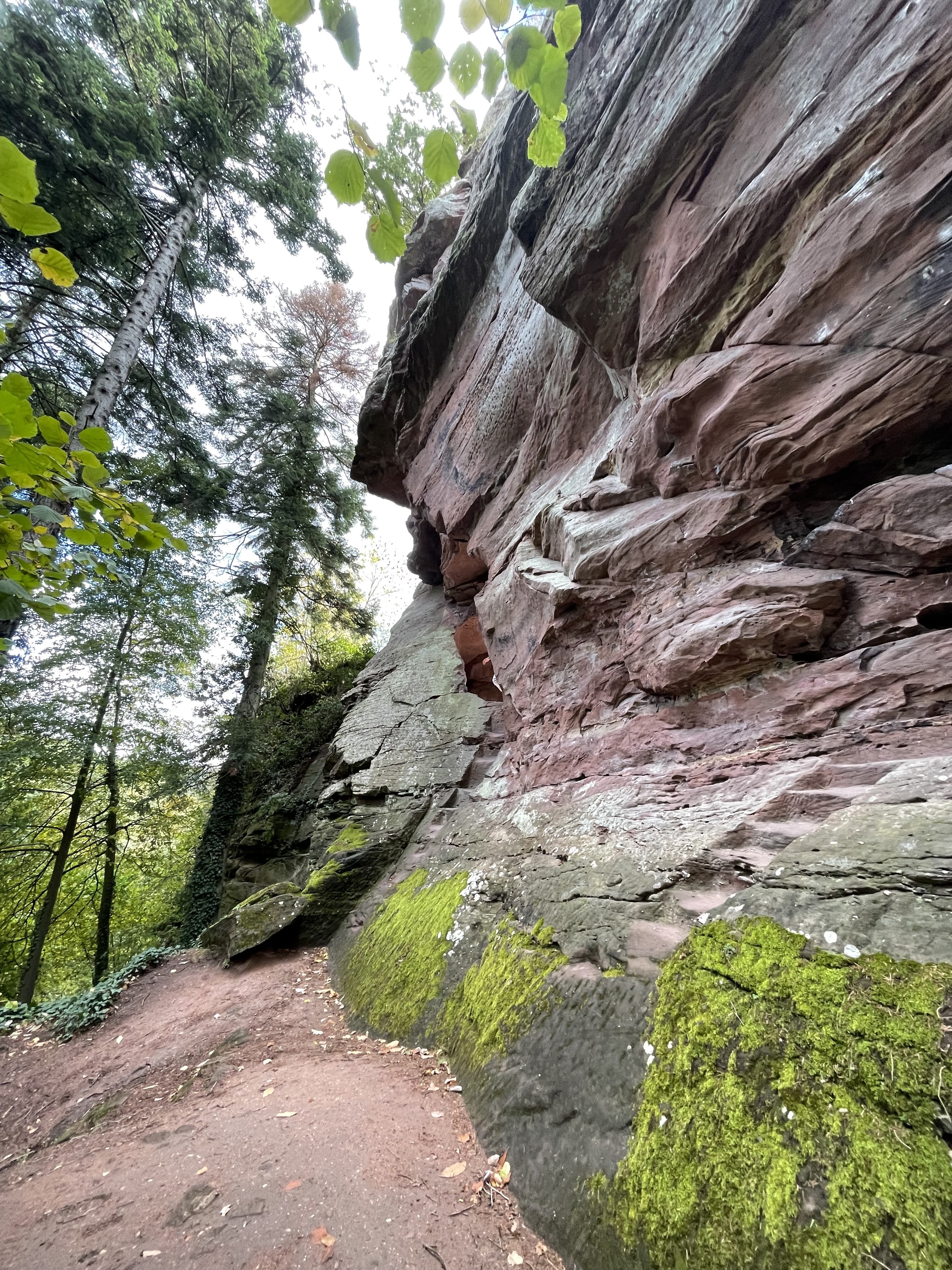 Photo n° 6 de l'avis de Chloé. fait le 25/10/2023 à 21:18