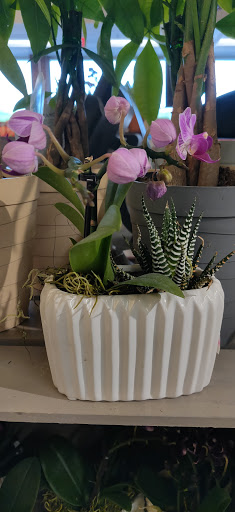 Supermarket «Stop & Shop», reviews and photos, 191 Montauk Hwy, Sayville, NY 11782, USA