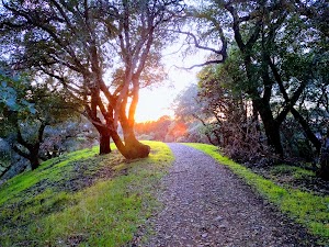 Shiloh Ranch Regional Park - photo 79