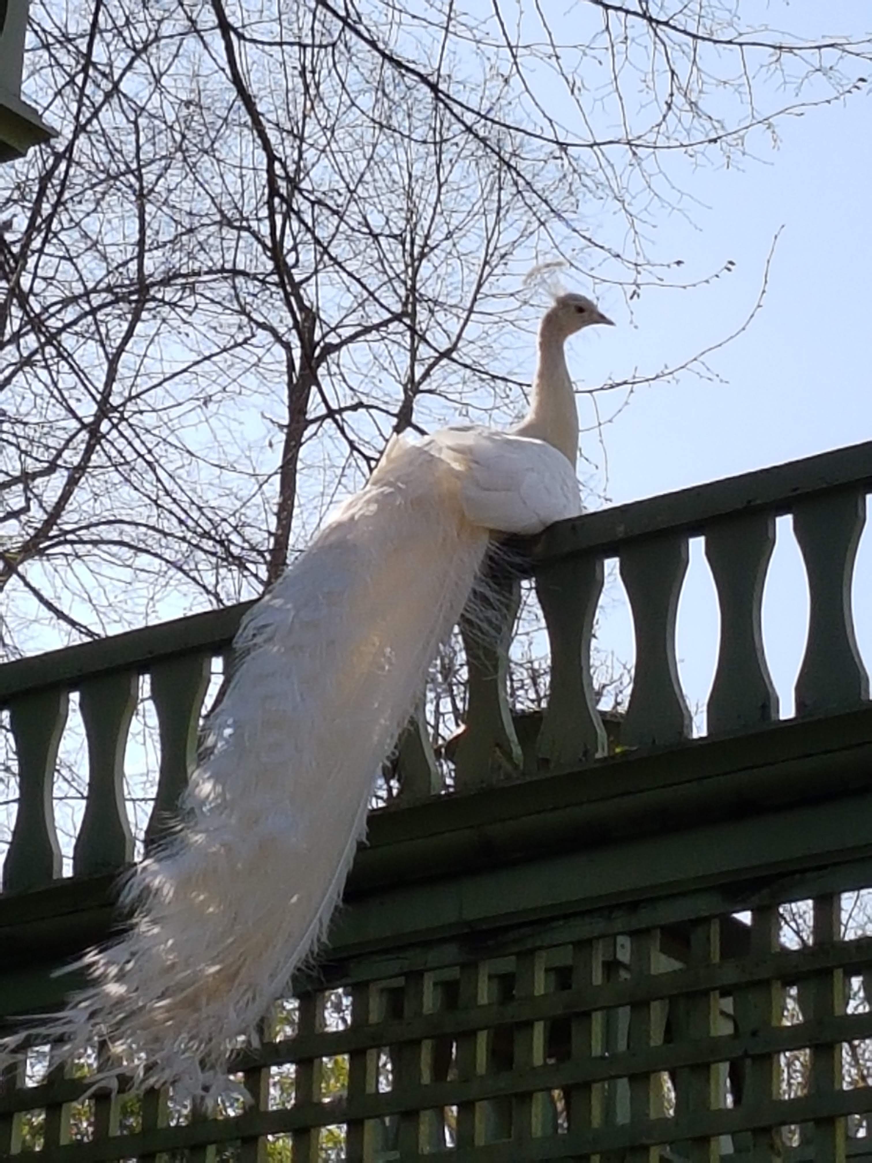 Photo n° 4 de l'avis de j.c. fait le 30/03/2019 à 19:26
