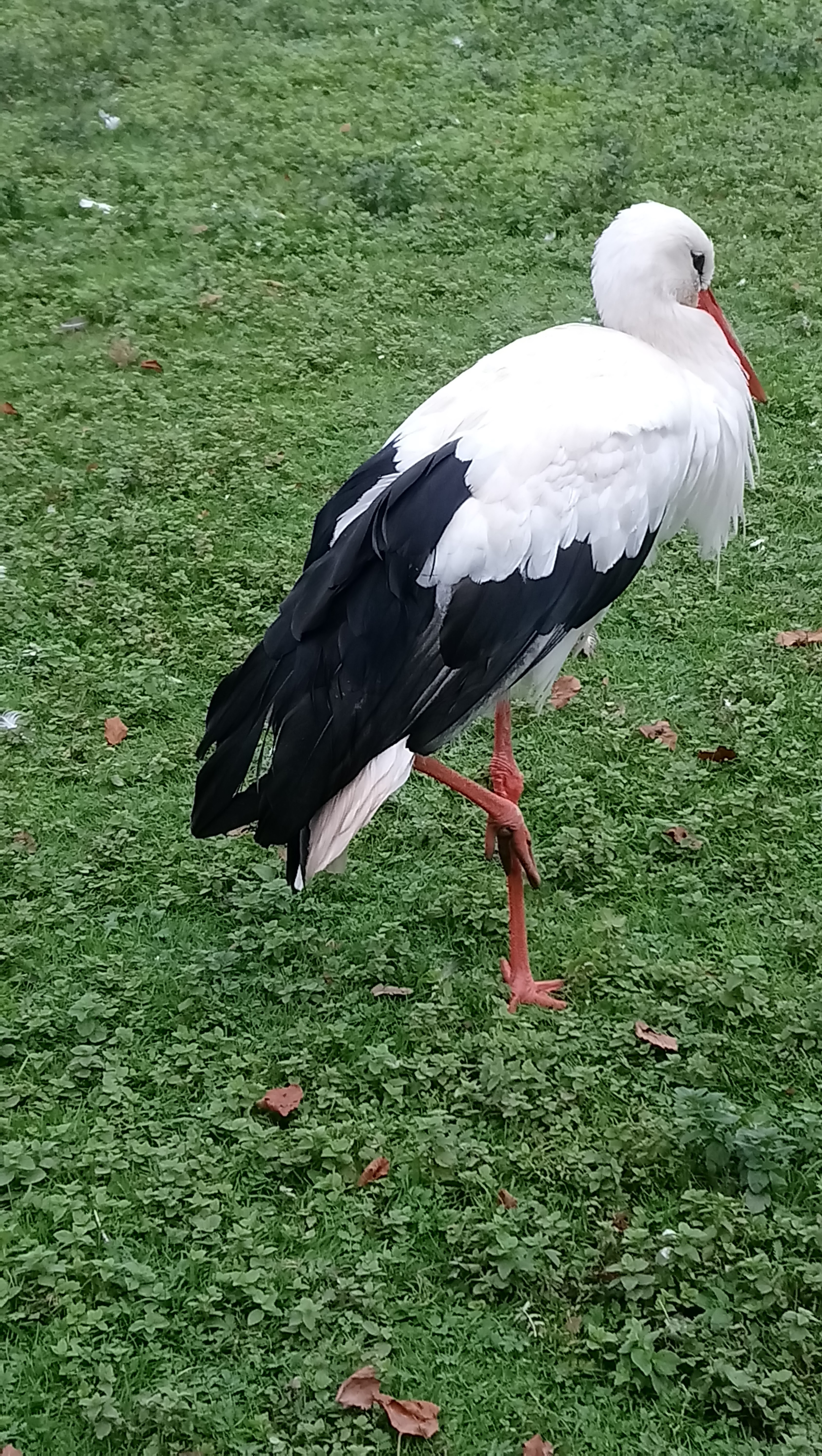 Photo n° 5 de l'avis de Stephanie.r fait le 21/10/2018 à 05:17
