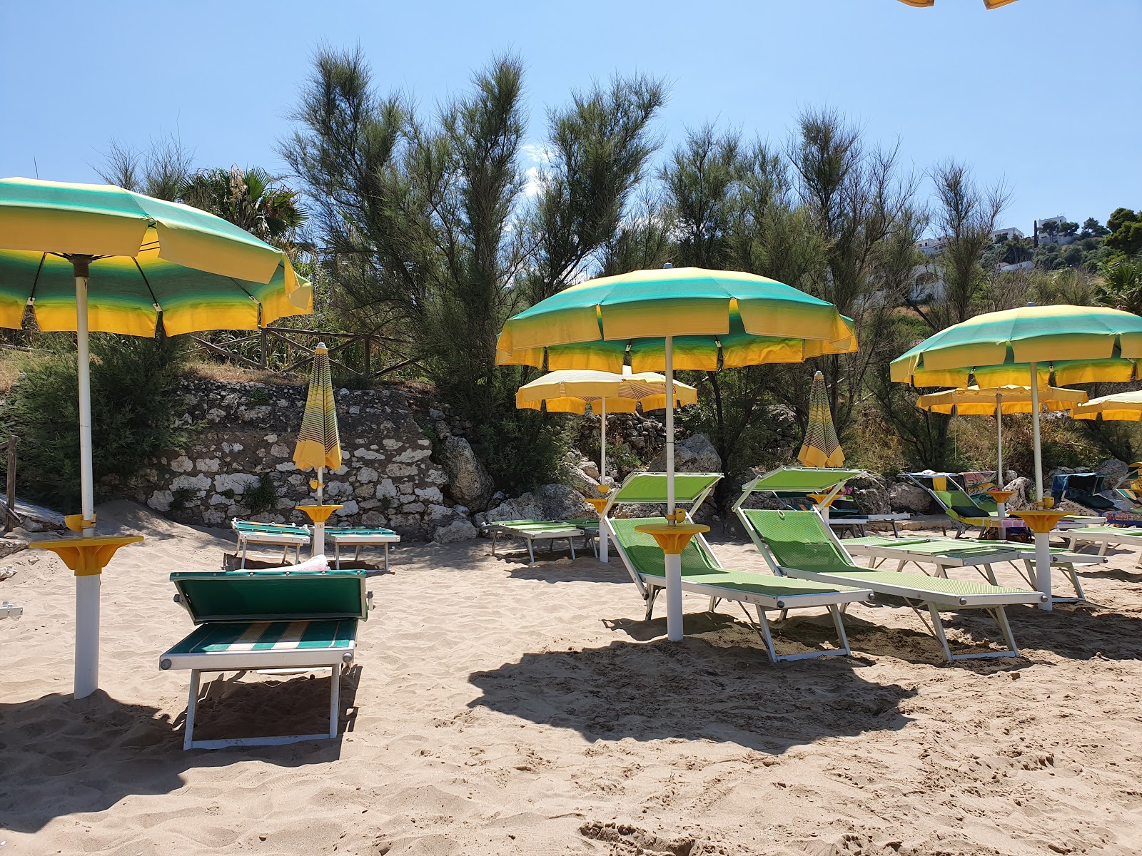 Fotografie cu Procinisco Beach - loc de vacanță prietenos pentru animale de companie