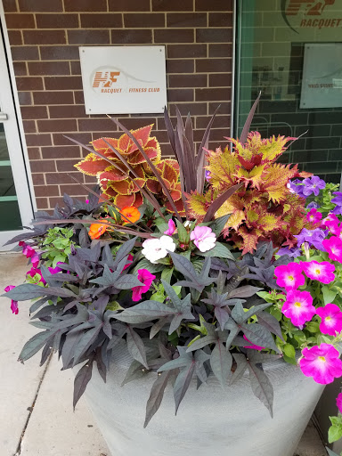 Racquetball Club «H-F Racquet & Fitness Club», reviews and photos, 2920 183rd St, Homewood, IL 60430, USA