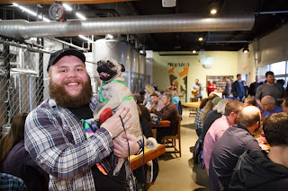 Brewing tanks in a taproom