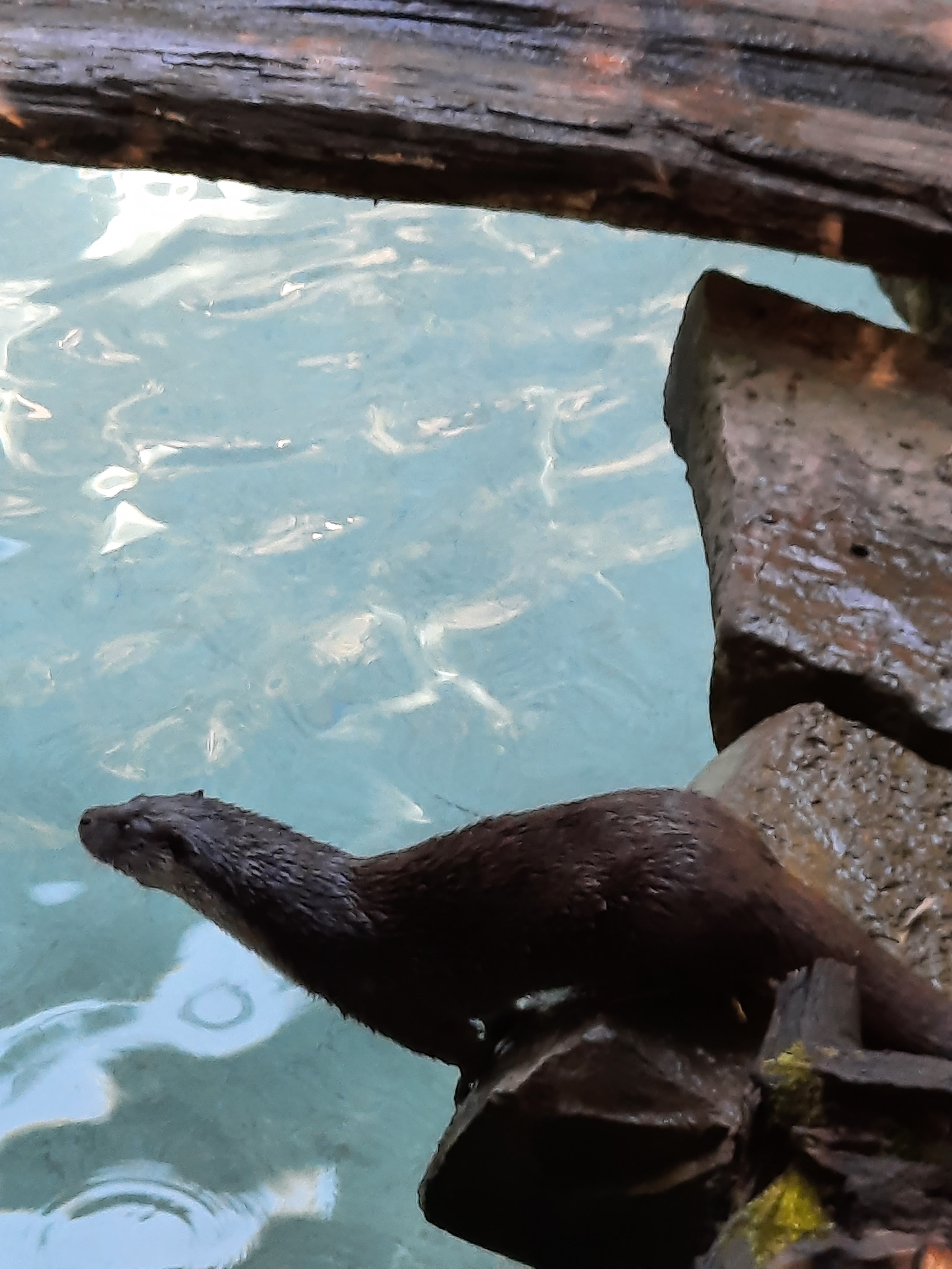 Photo n° 23 de l'avis de Gwen.i fait le 08/08/2023 à 13:19