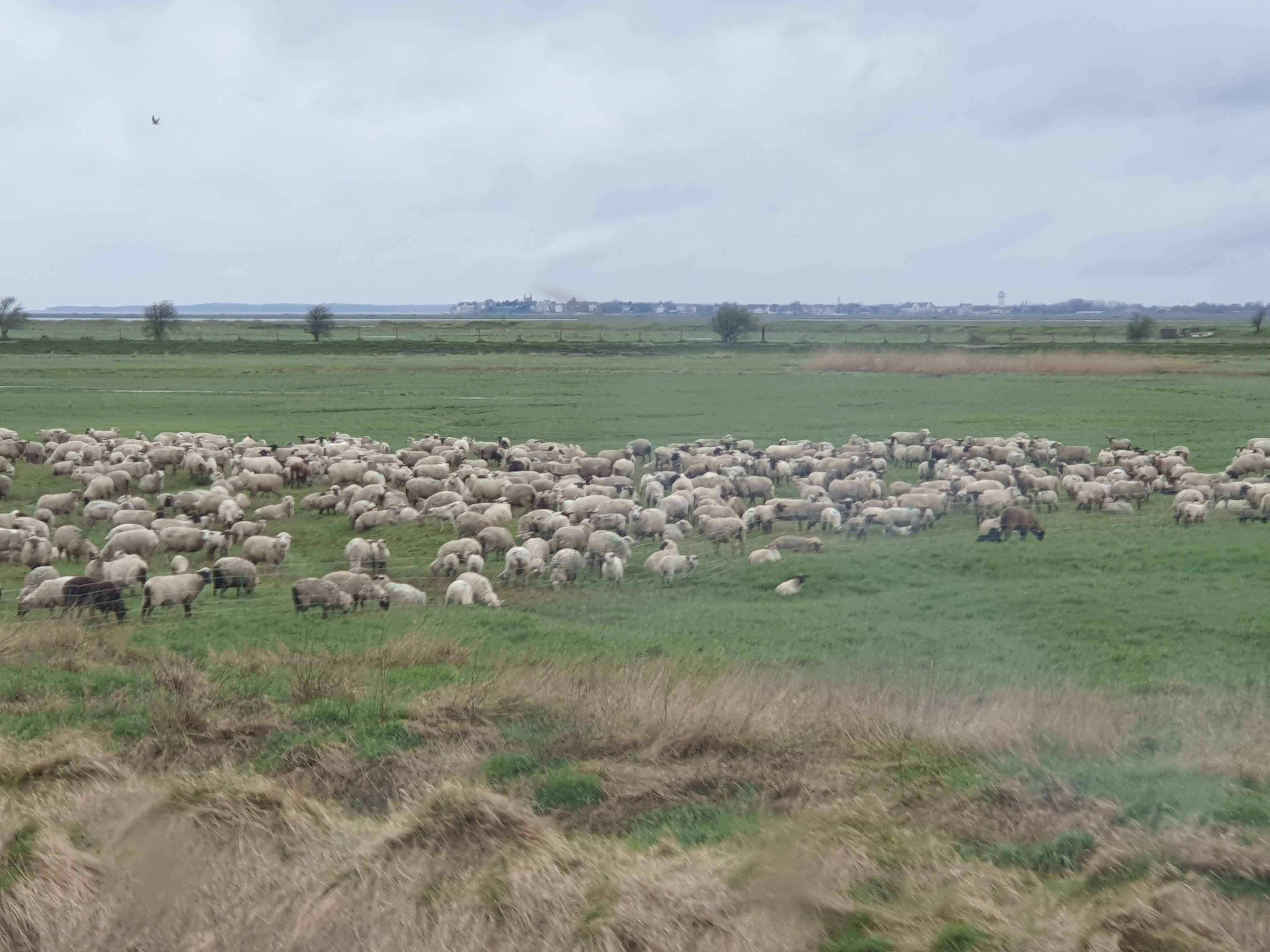 Photo n° 5 de l'avis de Hélène.A fait le 10/04/2023 à 19:37