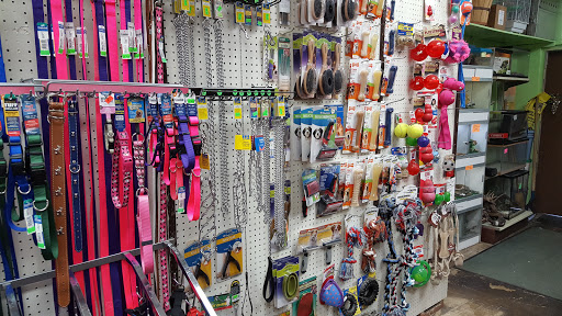 Pet Store «Pettin Place», reviews and photos, 1121 S Wells Ave, Reno, NV 89502, USA