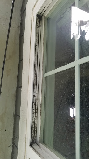 American Window Cleaning