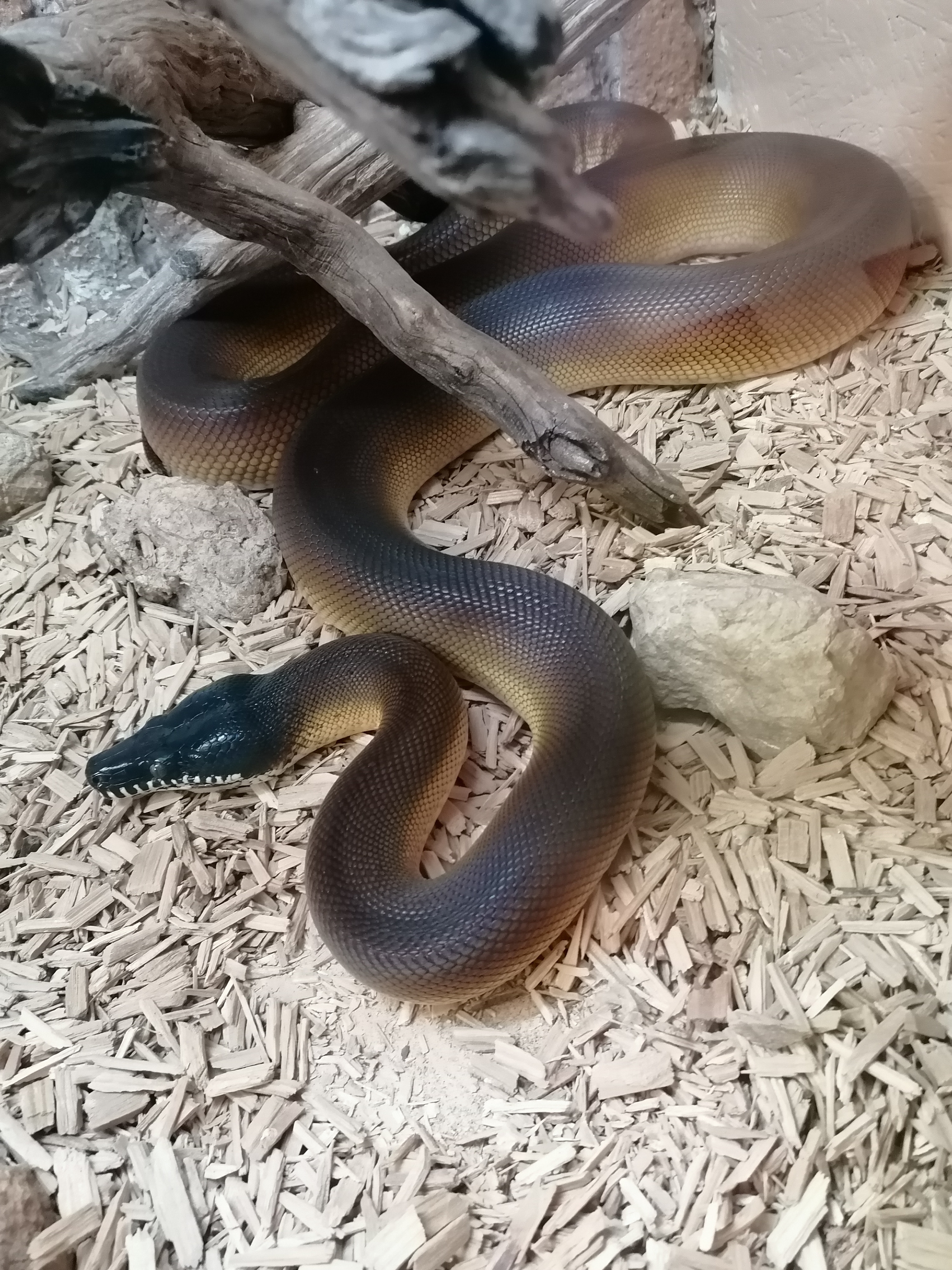 Photo n° 3 de l'avis de guerin.a fait le 06/11/2022 à 06:54