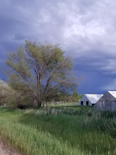 Park «Mitchell Hollow Park», reviews and photos, 6400 W 10250 N, Highland, UT 84003, USA