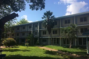 Muhimbili University of Health and Allied Sciences image