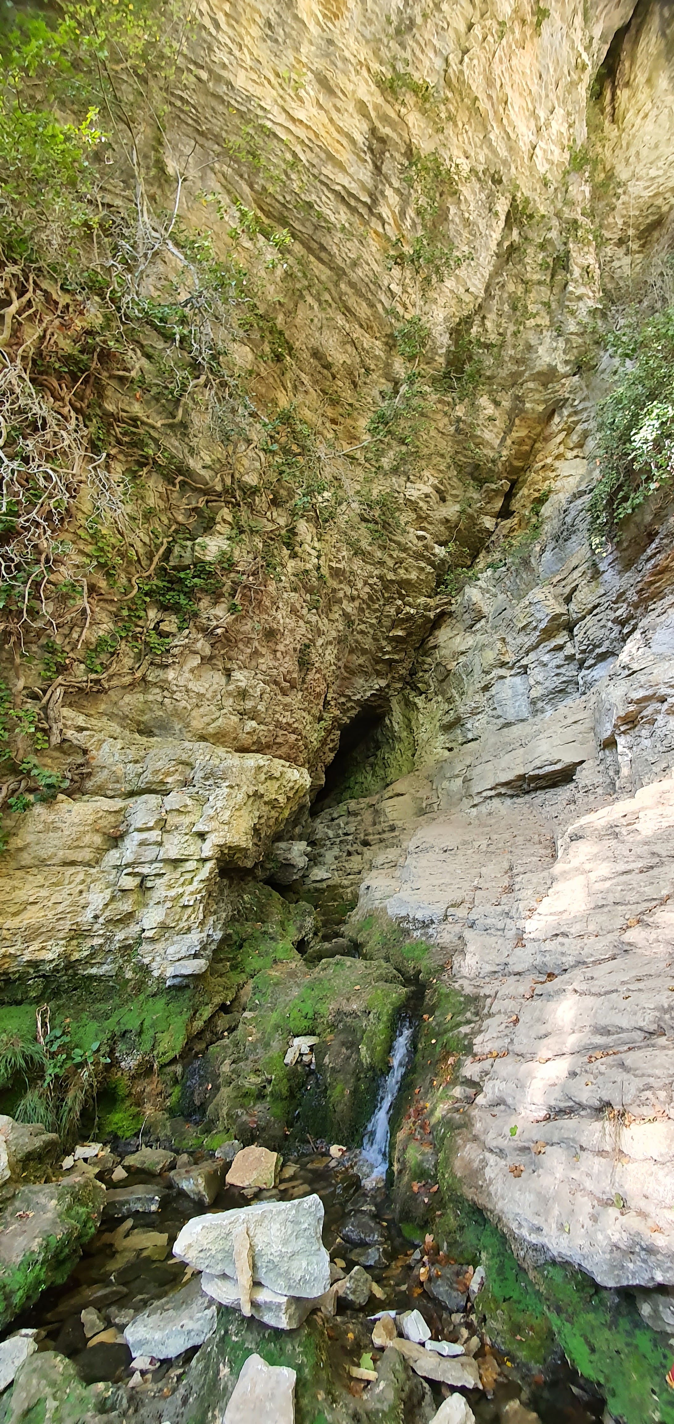 Photo n° 7 de l'avis de Chamroeun.H fait le 23/10/2022 à 13:52