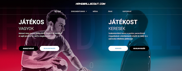 www.handballscout.com