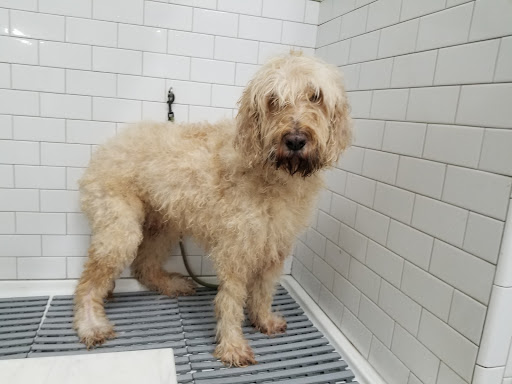 Pet Supply Store «Northside Grange», reviews and photos, 4116 Hamilton Ave, Cincinnati, OH 45223, USA