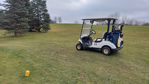 Golf Course «Brookwood Golf Course», reviews and photos, 1339 Rynearson St, Buchanan, MI 49107, USA
