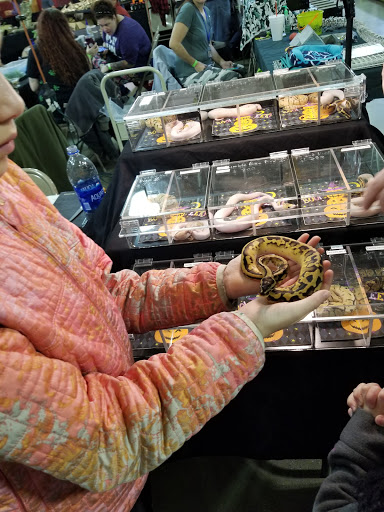 Pet Store «Kalamazoo Reptile Show», reviews and photos, 2900 Lake St, Kalamazoo, MI 49048, USA