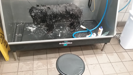 Pet Supply Store «Pet Supplies Plus», reviews and photos, 2001 E 7th St, Charlotte, NC 28204, USA