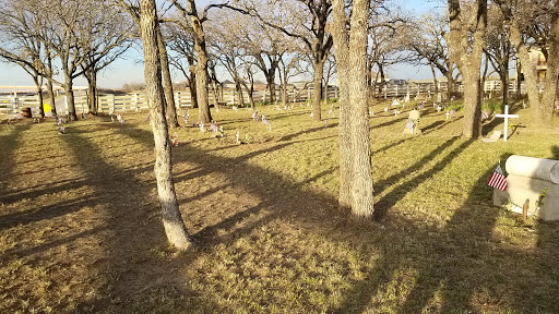 Shelton's Bear Creek Cemetery - Historic Texas Cemetery