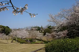 Murayama Park image