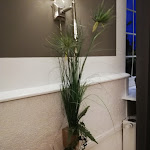 Photo n°9 de l'avis de Ines.o fait le 28/10/2018 à 17:04 sur le  Wirtshaus Oering à Oering